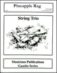 PINEAPPLE RAG STRING TRIO cover